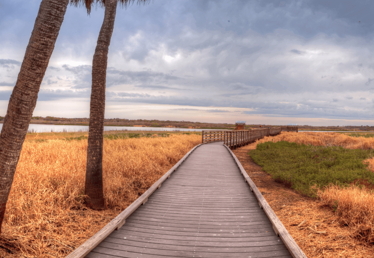 myakka state park